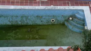 Vernachlässigter Gartenpool vor dem Rückbau